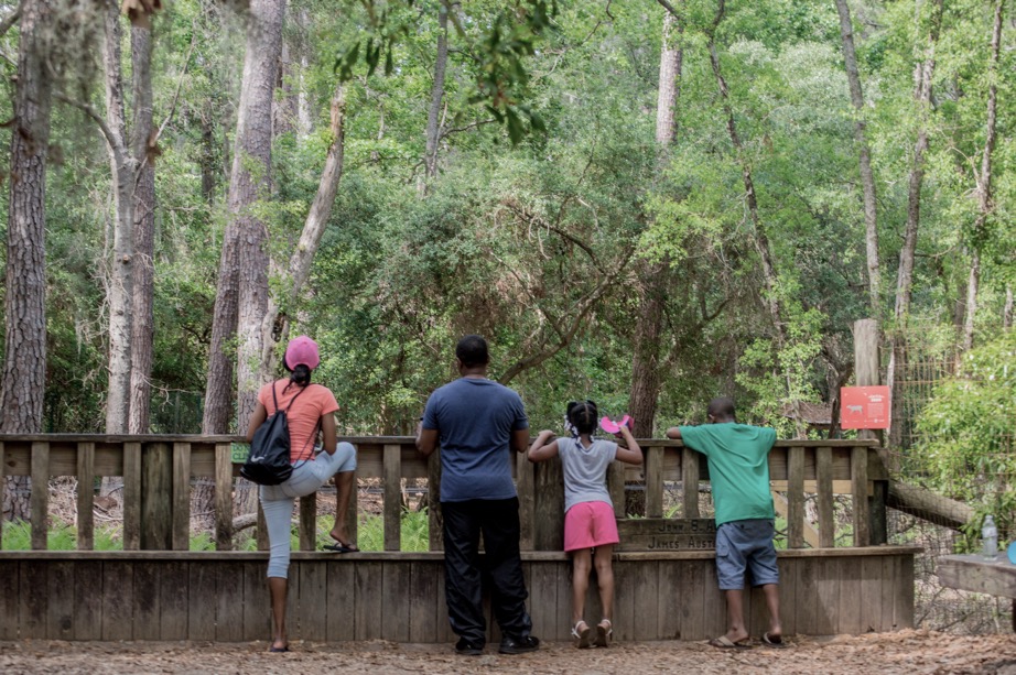 savannahzoo-web-redesign-observation