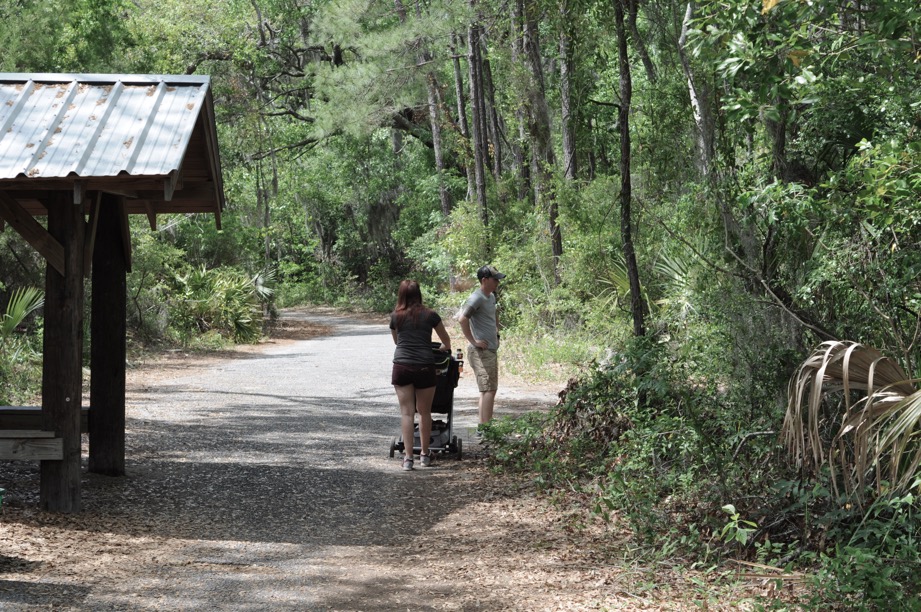 savannahzoo-web-redesign-observation